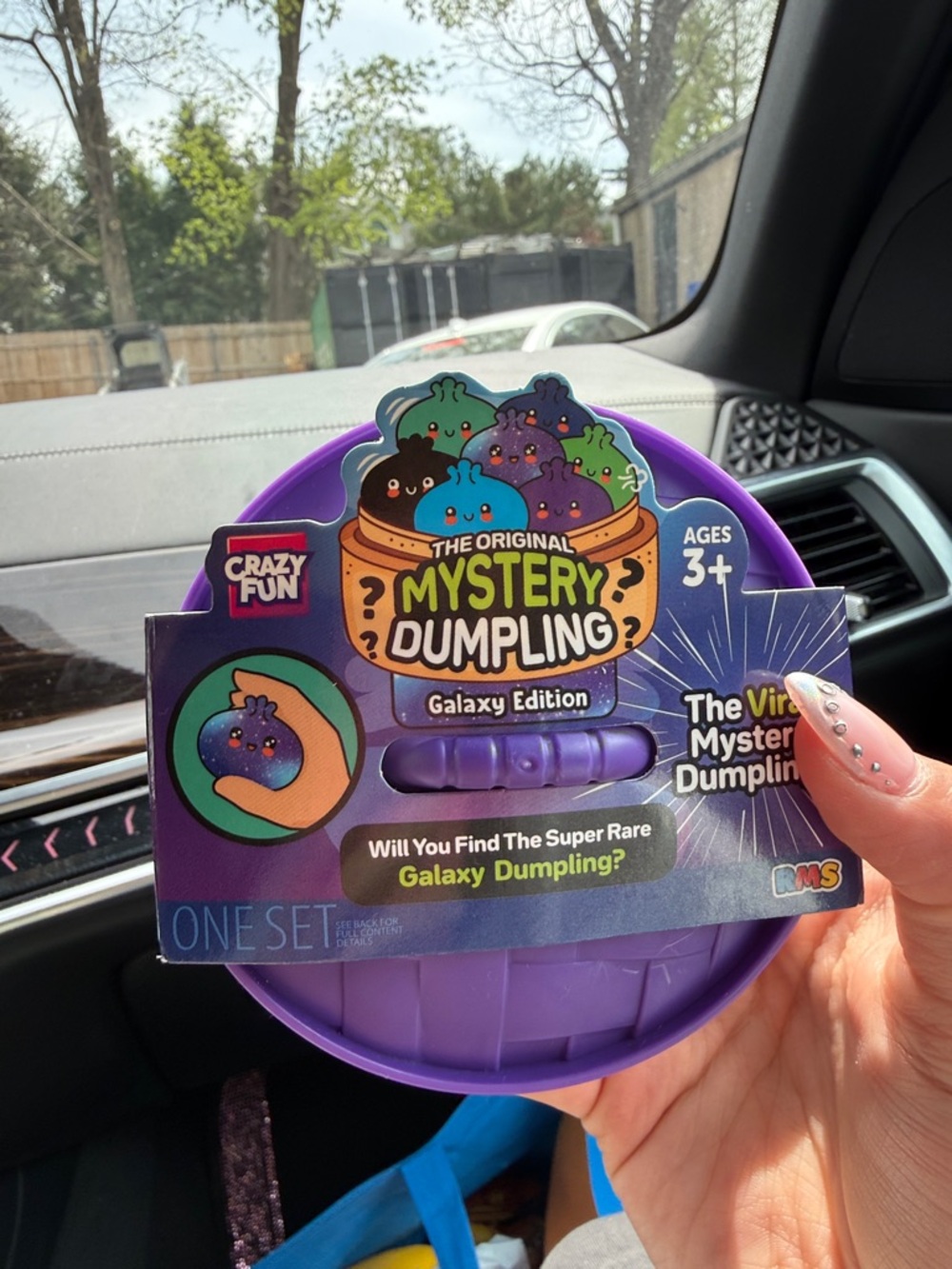 The Original Mystery Dumpling Galaxy Edition - Purple